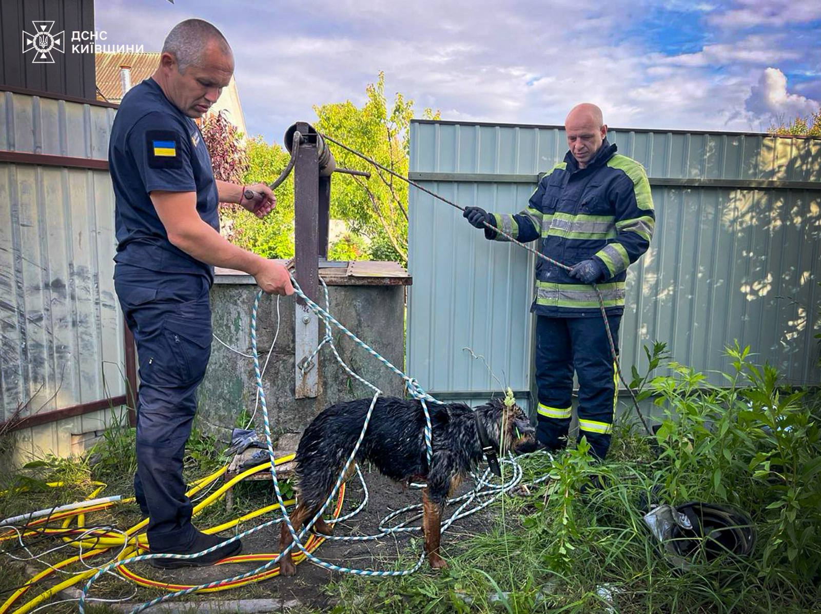 На Фастівщині рятувальники допомогли собаці