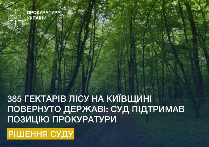 385 гектарів лісу повернуто державі: суд підтримав позицію прокуратури