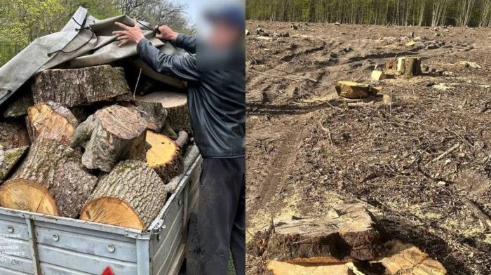 Поблизу Володарки затримали "чорного" лісоруба