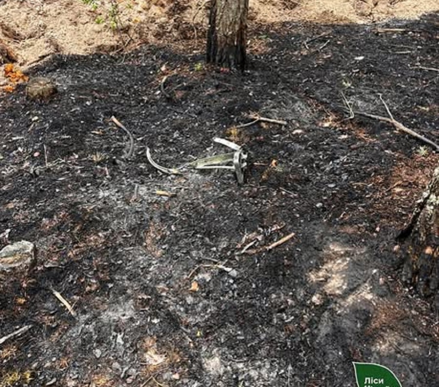 На Київщині вчора внаслідок атаки дронів виникли дві лісові пожежі в Димерському надлісництві