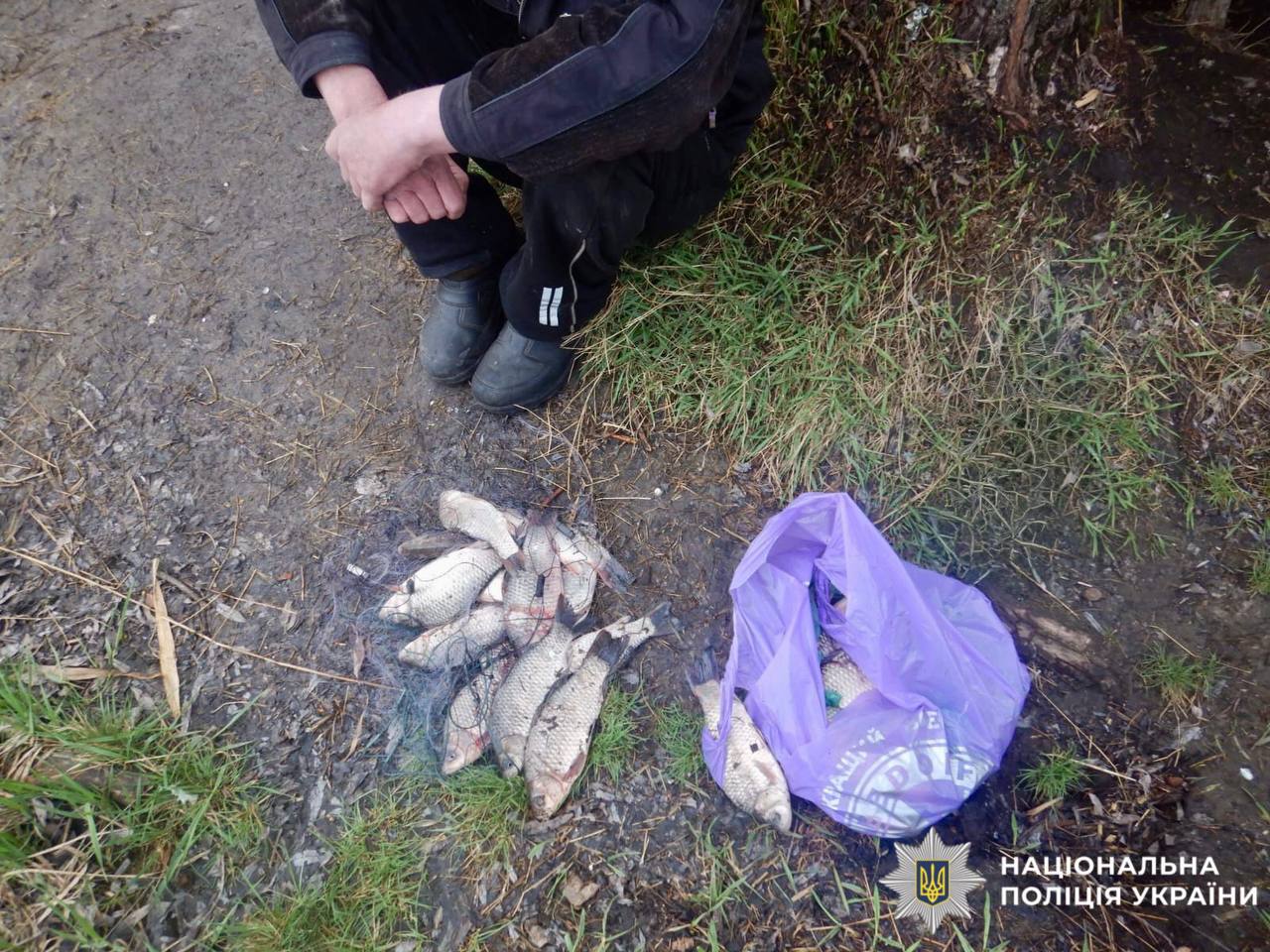Двоє чоловіків незаконно виловили риби у понад 91 тисяч гривень: поліцейські Київщини задокументували браконьєрів