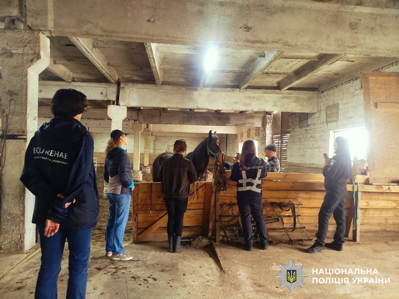 Шлях до відновлення: іпотерапія для поранених бійців-поліцейських Київщини