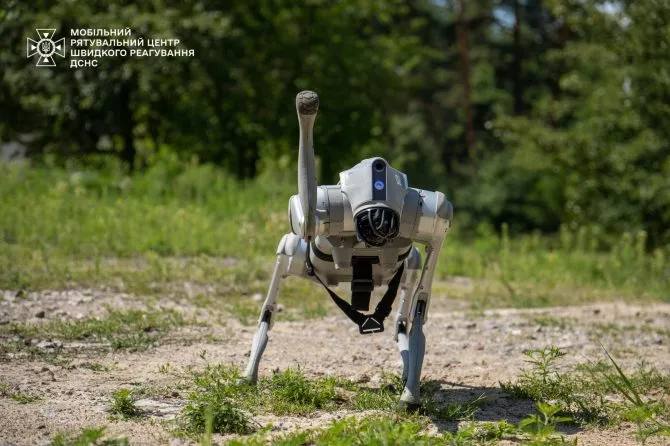 Сапери розміновуватимуть Київщину разом із роботизованим псом (ФОТО)
Собака-робот, розроблений для ефективної та безпечної підтримки операцій з розмінування