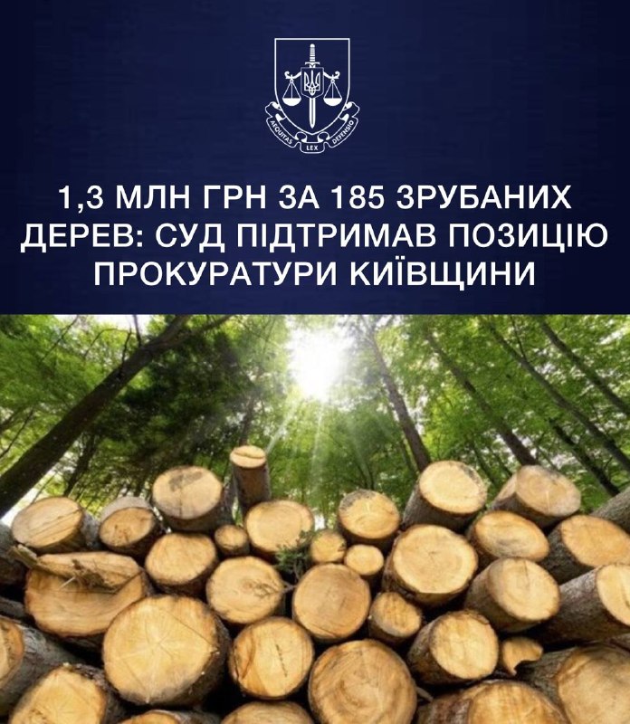 1,3 млн грн за 185 зрубаних дерев: суд підтримав позицію прокуратури Київщини