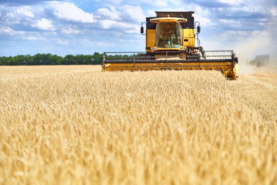 Фермери Київщини отримають понад 62 млн грн підтримки від облради