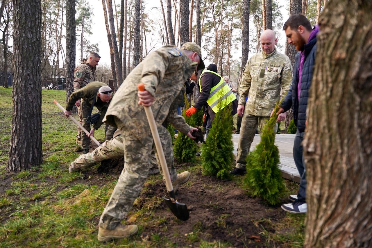 В Ірпені висадили алею туй на честь полеглих захисників