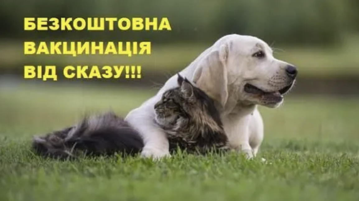У Михайлівці-Рубежівці вакцинуватимуть тварин від сказу