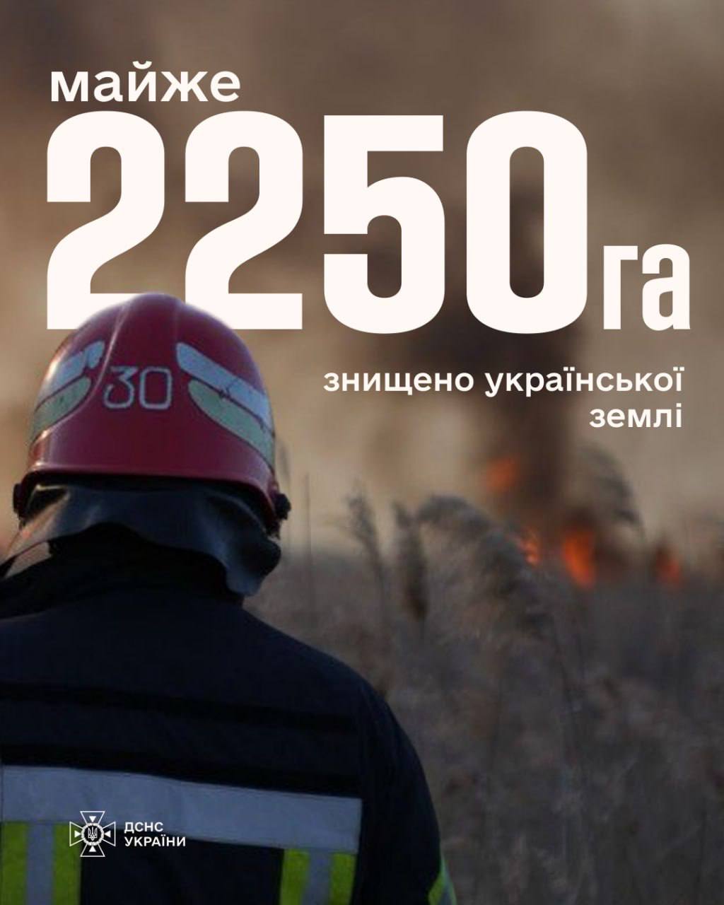 Понад 1800 пожеж в екосистемах: Київщина опинилася серед лідерів за площею вигорілої землі