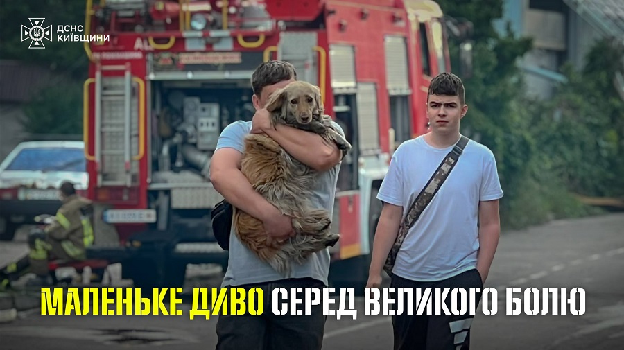 На Київщині чоловік знайшов собаку, яка втекла під час російського обстрілу