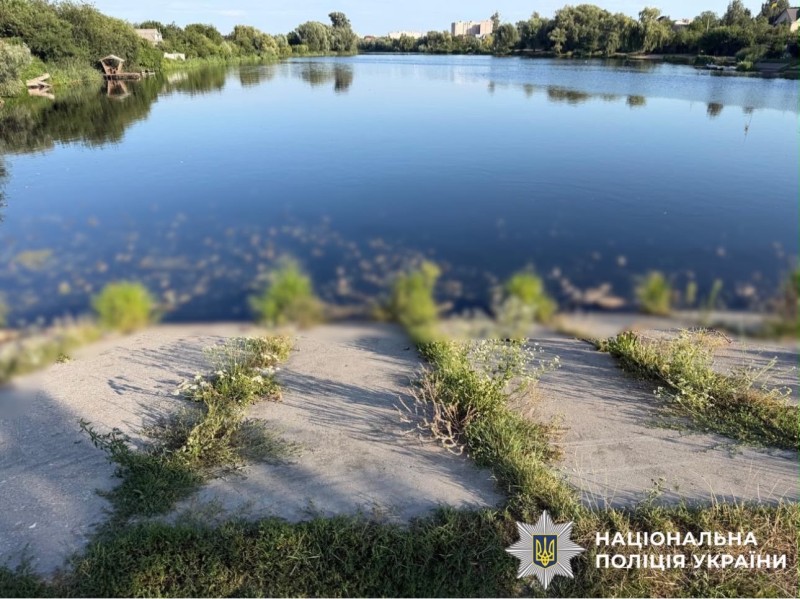 Масова загибель риби на Київщині: у водойми Борщагівської громади потрапили стічні води