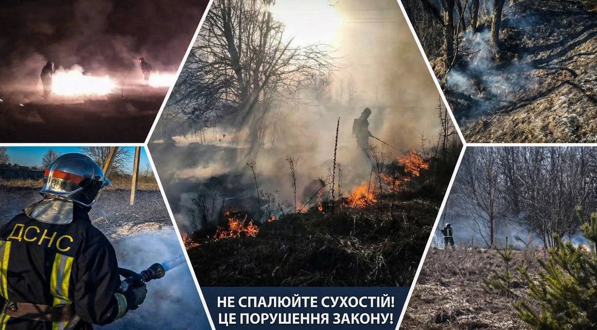 На Фастівщині за вихідні сталося вісім пожеж в екосистемах