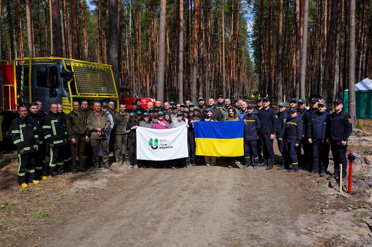 У Бородянці висадили новий ліс як символ відновлення після війни (ФОТО)