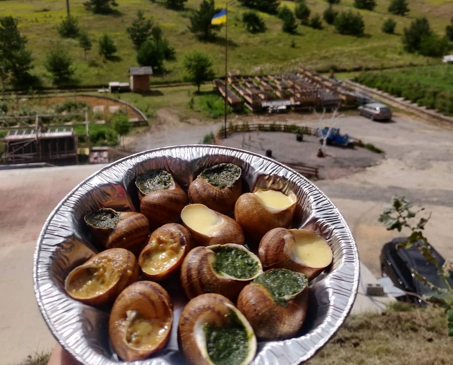 На Київщині через падіння уламків «Шахеда» постраждала равликова ферма