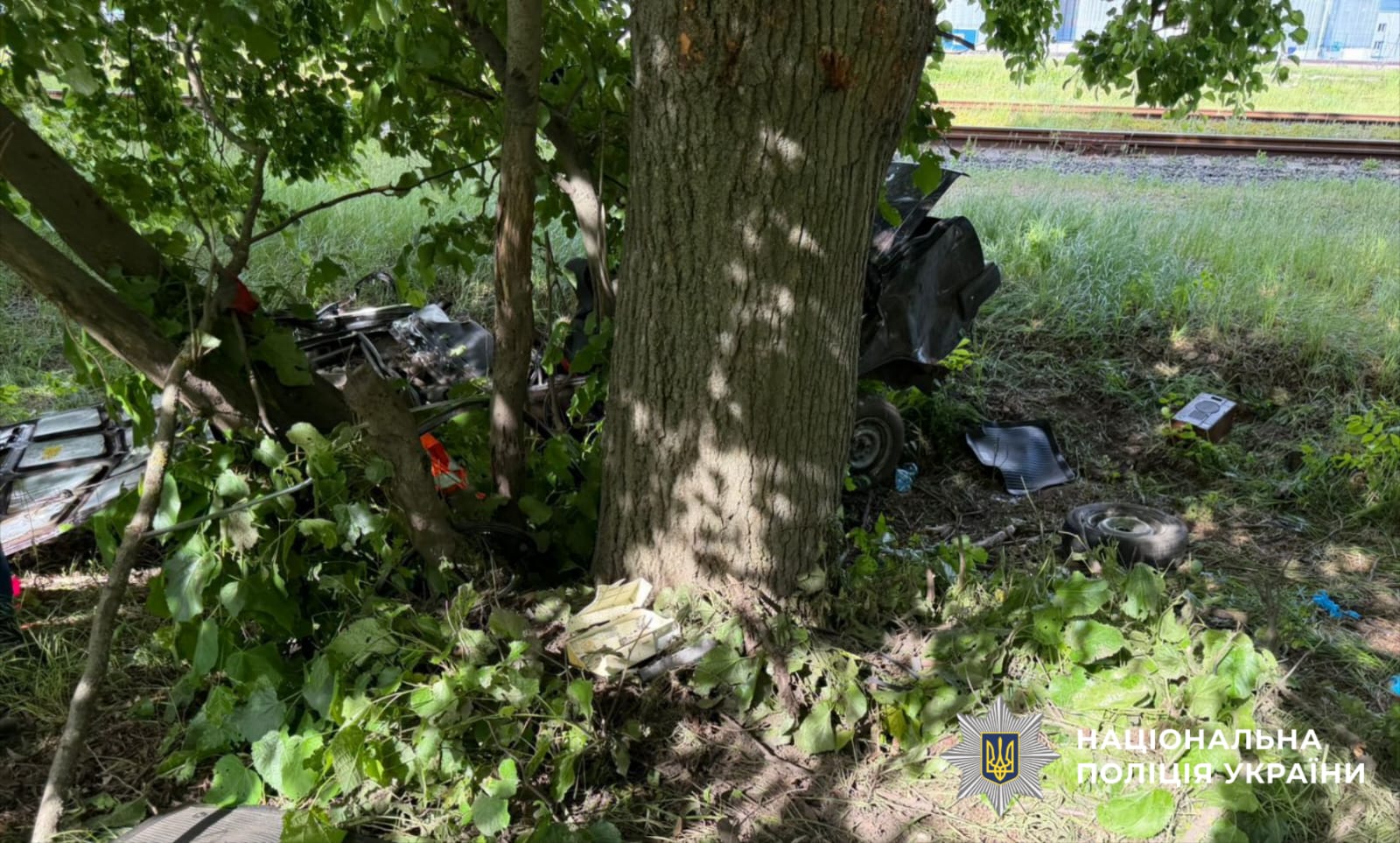 На Білоцерківщині п’яний водій влетів у дерево: загинули двоє дітей