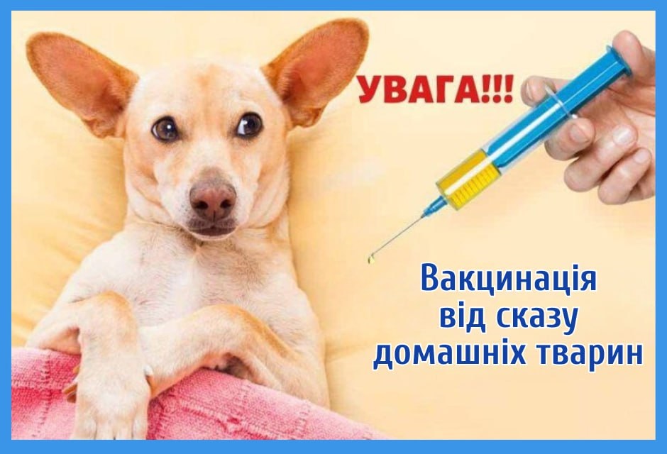 На Васильківщині ветеринари об’їдуть села та місто для вакцинації тварин від сказу