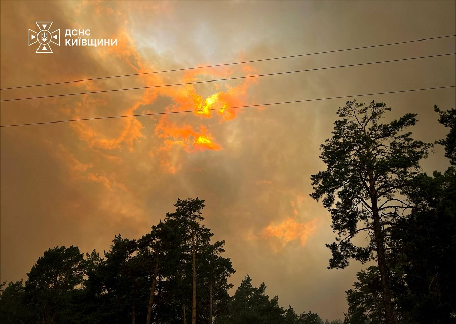 На Вишгородщині рятувальники гасять масштабну лісову пожежу