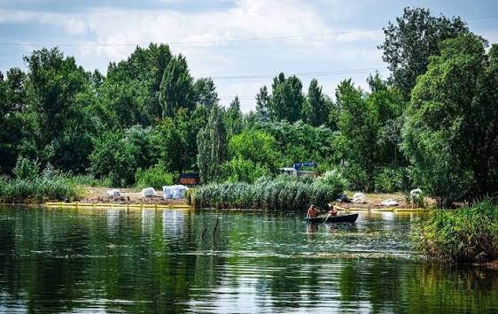 Важкі метали, кислоти та загибла риба: на Київщині розслідують забруднення річки Борщагівка після атаки