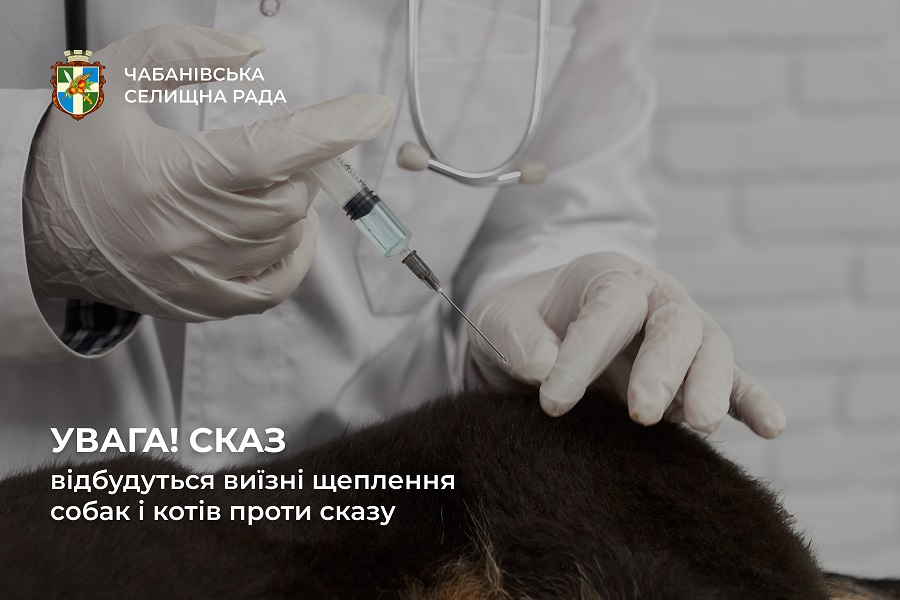 У Чабанах виявили сказ у домашнього кота: для тварин проведуть безкоштовну вакцинацію