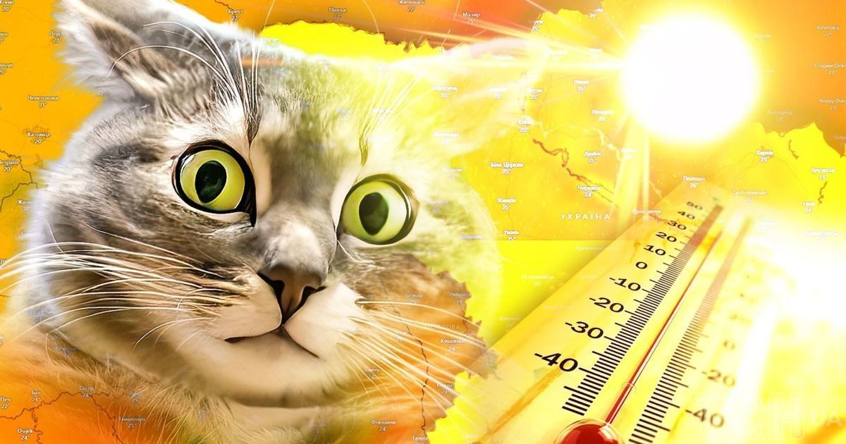 Тепло до +27° і без опадів: на Київщині зміниться погода вже з 8 травня
