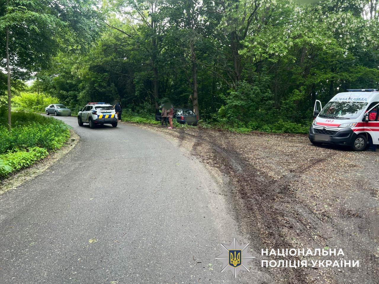 На Вишгородщині п’яний водій Audi врізався в дерево: загинув пасажир