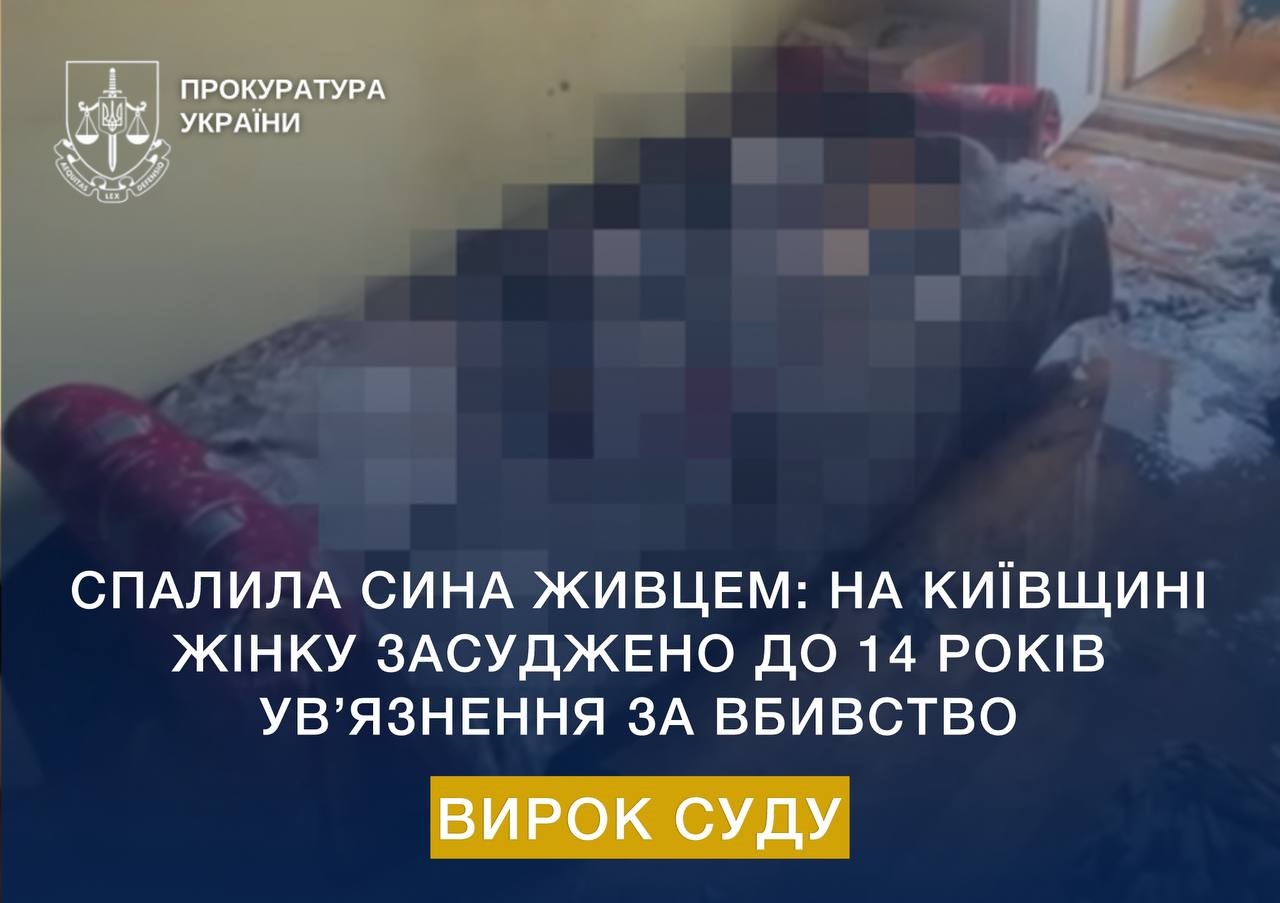 Жінку на Київщині засуджено до 14 років за вбивство сина