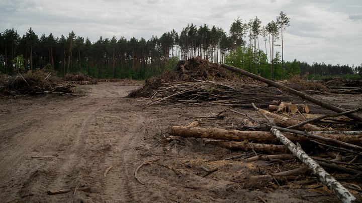 Верховний Суд скасував передачу земельної ділянки Мархалівського лісу під військове меморіальне кладовище