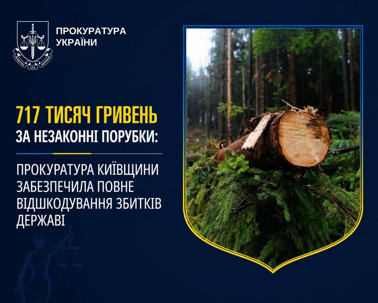 На Київщині відшкодували збитки державі через незаконну вирубку лісу