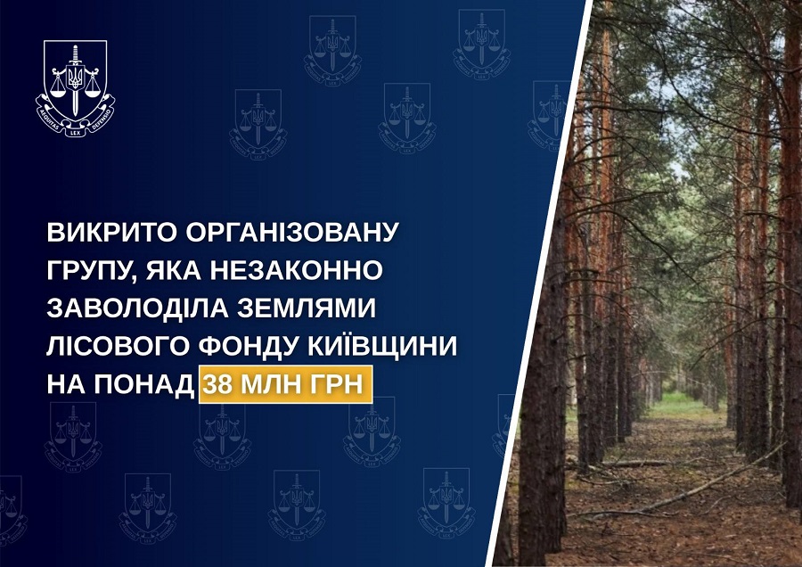 Заволоділи землями лісового фонду на Бучанщині: учасники організованої групи отримали підозру