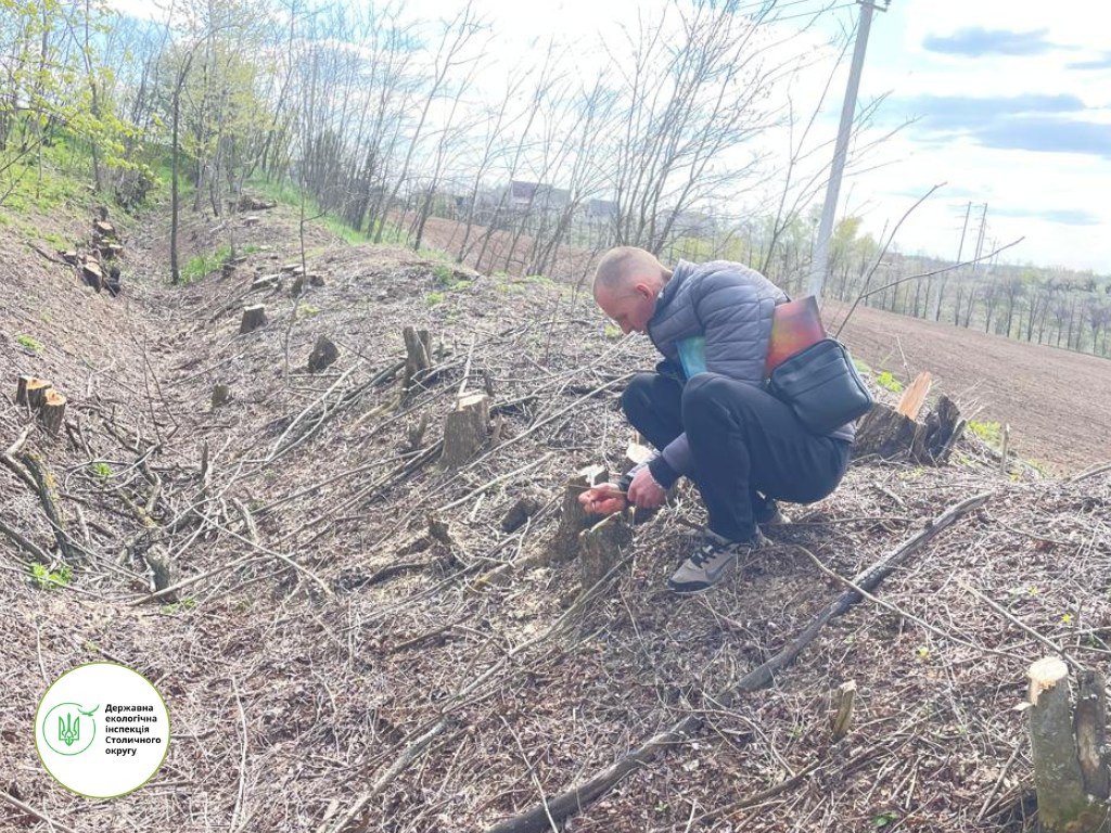 У Білоцерківському районі зафіксували незаконну вирубку та спалювання шин