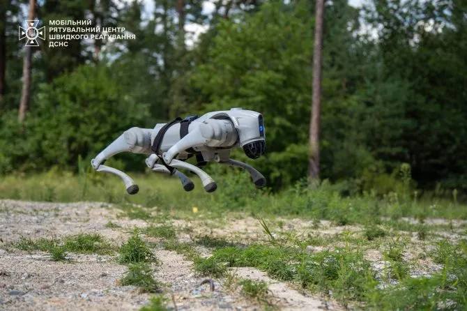 Сапери розміновуватимуть Київщину разом із роботизованим псом (ФОТО)
Собака-робот, розроблений для ефективної та безпечної підтримки операцій з розмінування