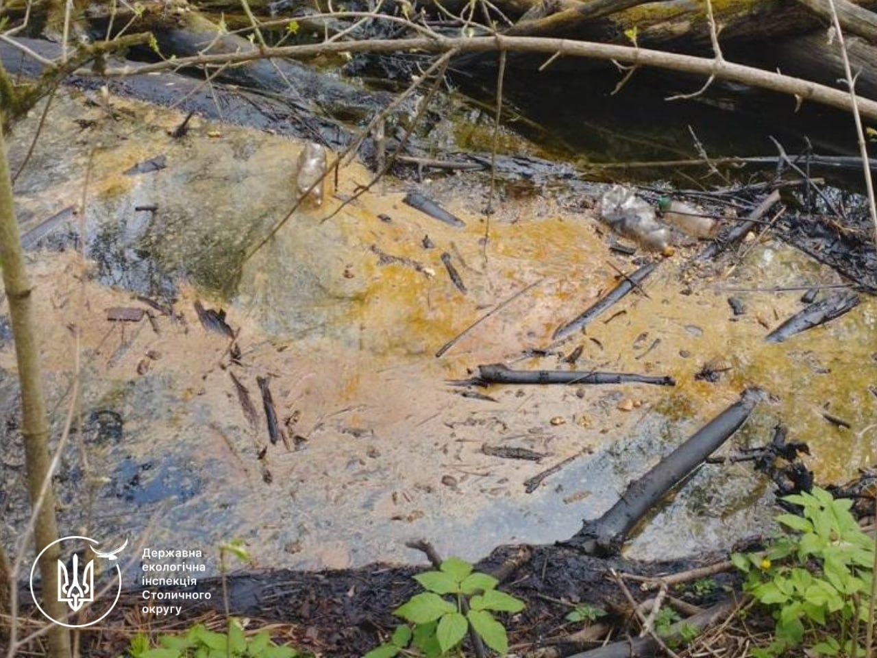 Річка Рось у зоні ризику: у Білій Церкві зафіксували нафтозабруднення
