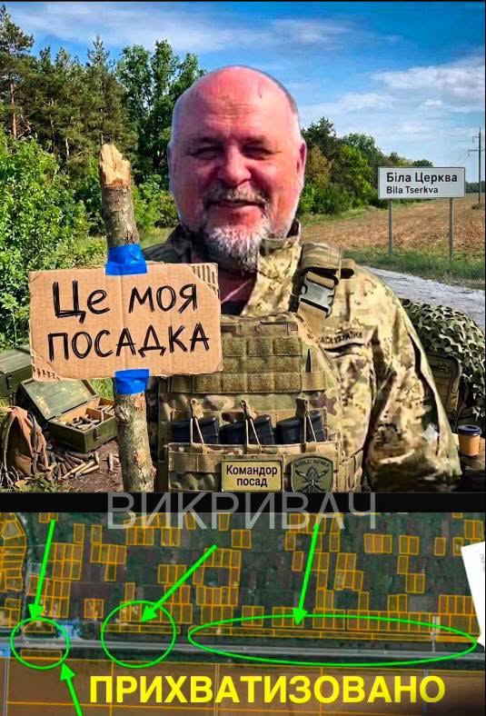 Передача земель і вирубка дерев: у Білій Церкві вимагають пояснень від міської влади