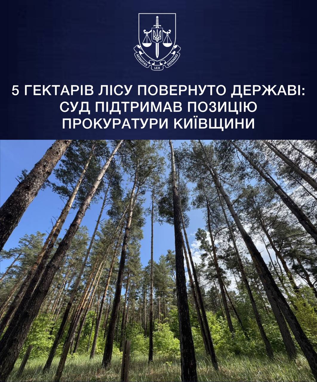 На Київщині суд повернув державі 5 гектарів лісу