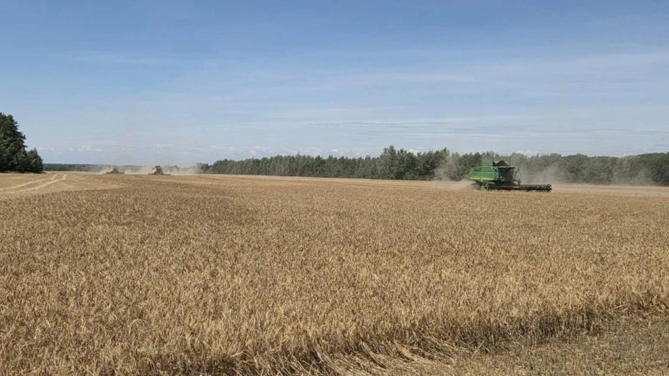 На Київщині стартували жнива: першими до збирання ранніх зернових приступили аграрії Білоцерківщини