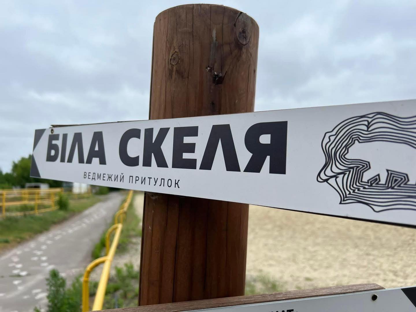 Ведмежий притулок «Біла скеля»: місце, де тварини отримують другий шанс