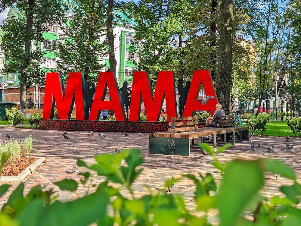 Мешканці Ірпеня заявляють про знущання з птахів у парку Мами