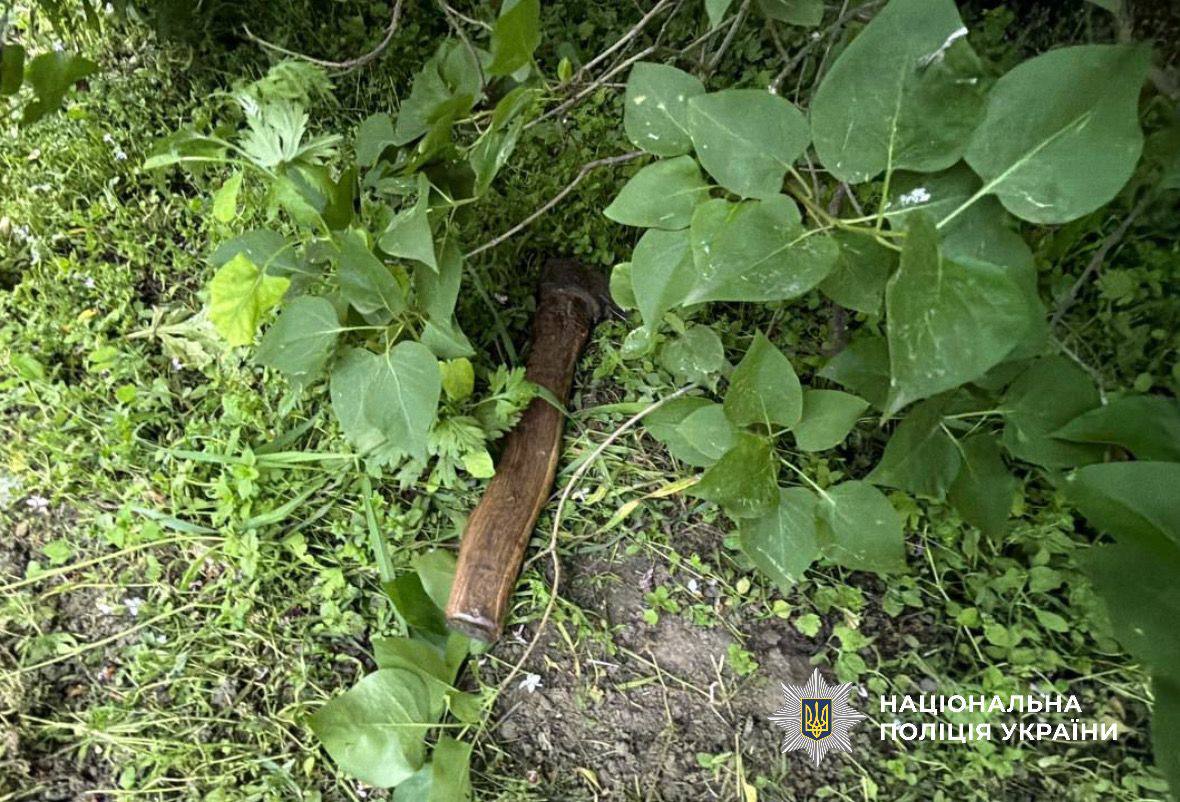 Накинувся із сокирою на родичку: поліцейські Київщини повідомили зловмиснику про підозру